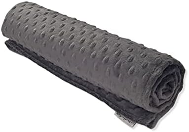 Charcoal Grey Minky Dot Baby Blanket 30x30