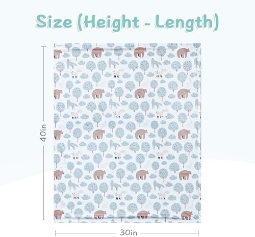 QSTEHEML Baby Blanket Bear 30x40 Inch Soft Minky Double Layer