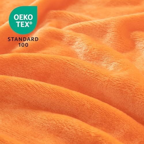 Babyhuggle Foldable Fox Plush Blanket for Newborn 1