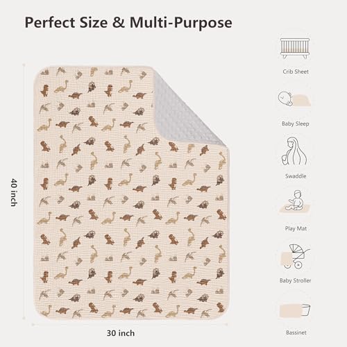 Susurration Baby Blanket Dinosaur Soft Minky with Muslin Cotton and Dotted Fleece Back