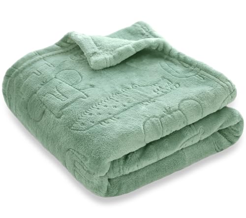 BORITAR Baby Blanket Ultra Soft Fleece 30x40 Inch Sage Green