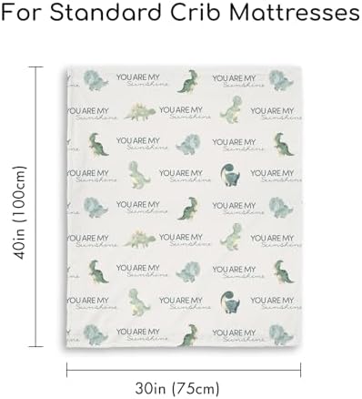 CIVARUA KIDS Dinosaur Baby Blanket for Boys - Blue Minky 30 x 40