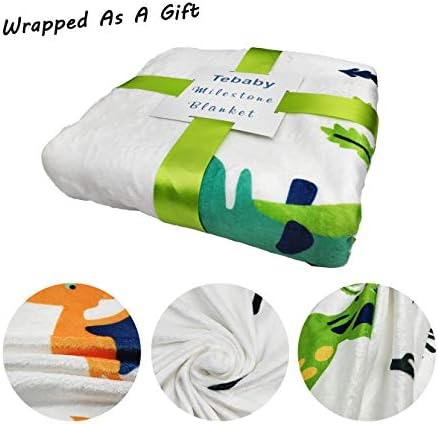 Tebaby Baby Milestone Blanket Dinosaur Neutral
