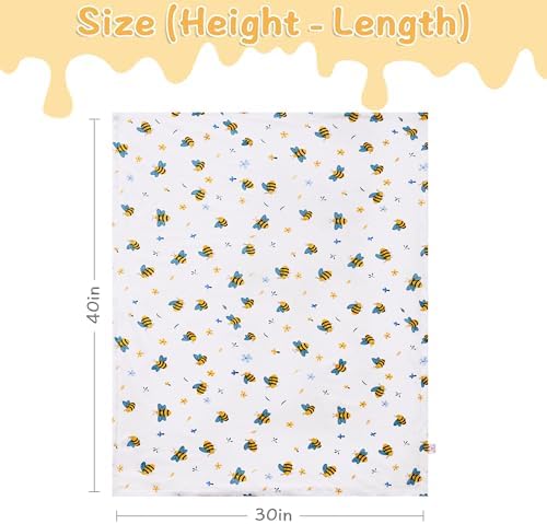 QSTEHEML Baby Blanket Neutral Super Soft Minky
