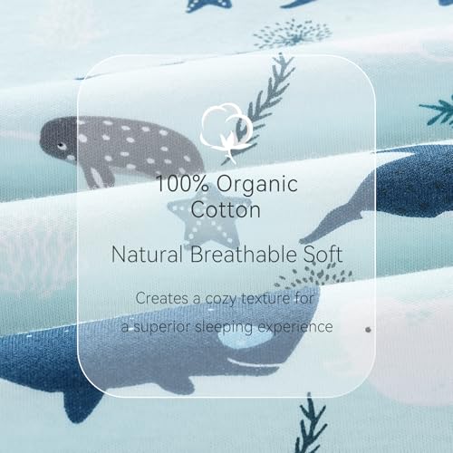 Unnivoll Baby Sleep Sack 0-6 Months 2 Pack Blue Turtle