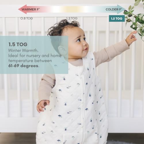 Tealbee Dreamsuit Toddler Sleep Sack with Feet 2T 3T 15 TOG Winter Blanket