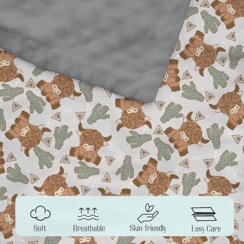 Mink Baby Blanket for Boys - Cactus Gray