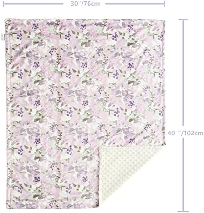 CREVENT Baby Girls Blanket - Soft Minky 30x40 Inches Lavender Grapes