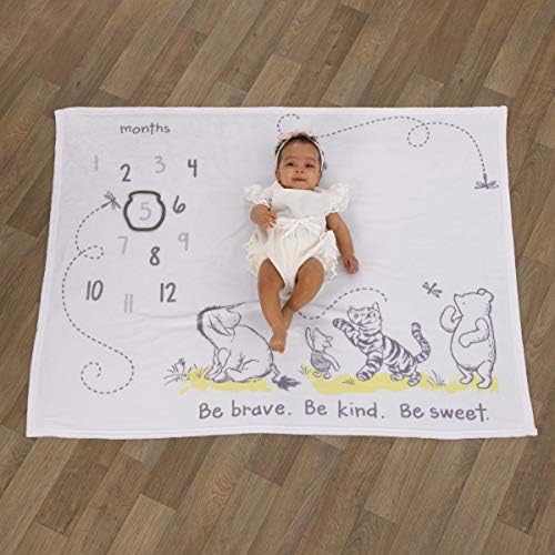 Disney Classic Winnie The Pooh Milestone Blanket