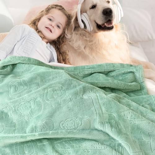 BORITAR Baby Blanket Ultra Soft Fleece 30x40 Inch Sage Green
