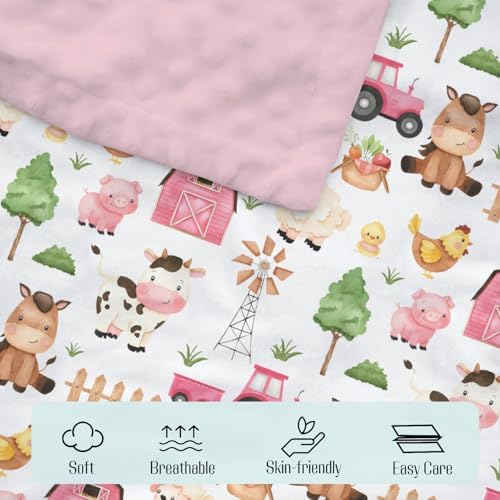 Mink Baby Girl Blanket Farm Life Pattern