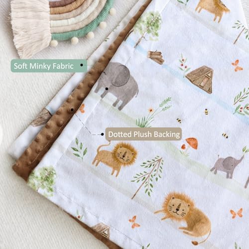BORITAR Baby Blanket 30x40 Inch Plush Minky