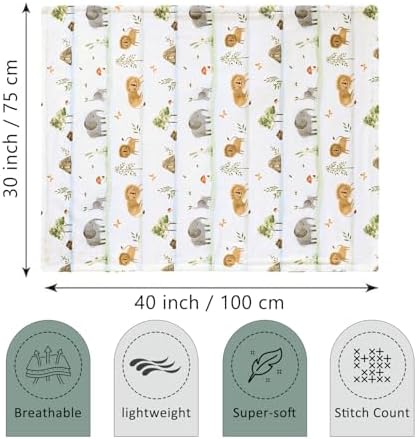 BORITAR Baby Blanket 30x40 Inch Plush Minky