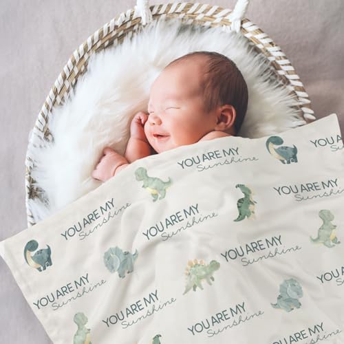 CIVARUA KIDS Dinosaur Baby Blanket for Boys - Blue Minky 30 x 40