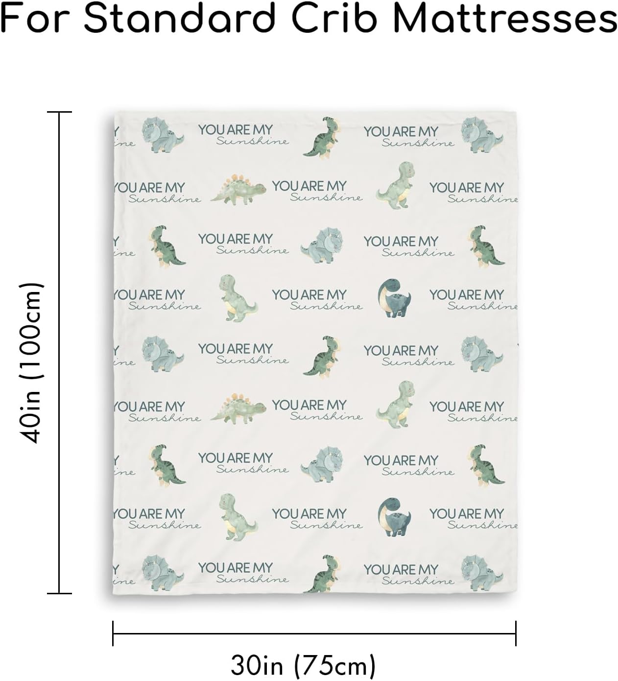 CIVARUA KIDS Dinosaur Baby Blanket for Boys - Blue Minky 30 x 40