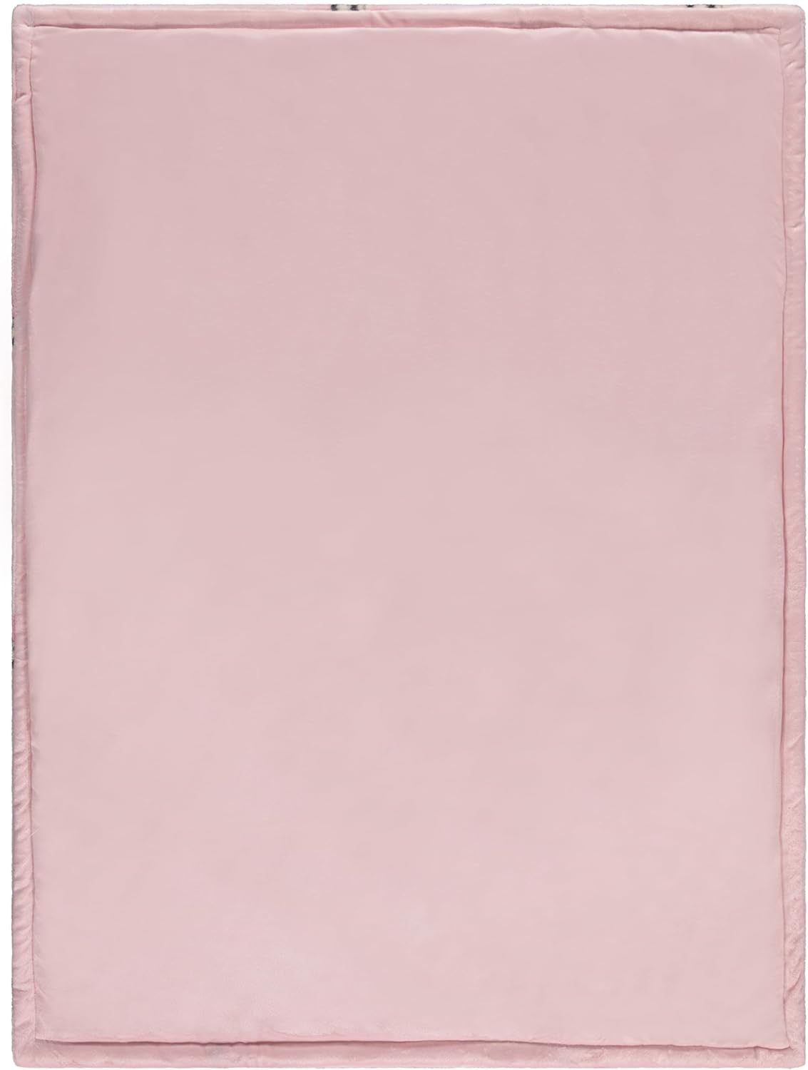 Disney Baby Blanket with 2-Ply Fleece and Polyfill - 30x40 Inches