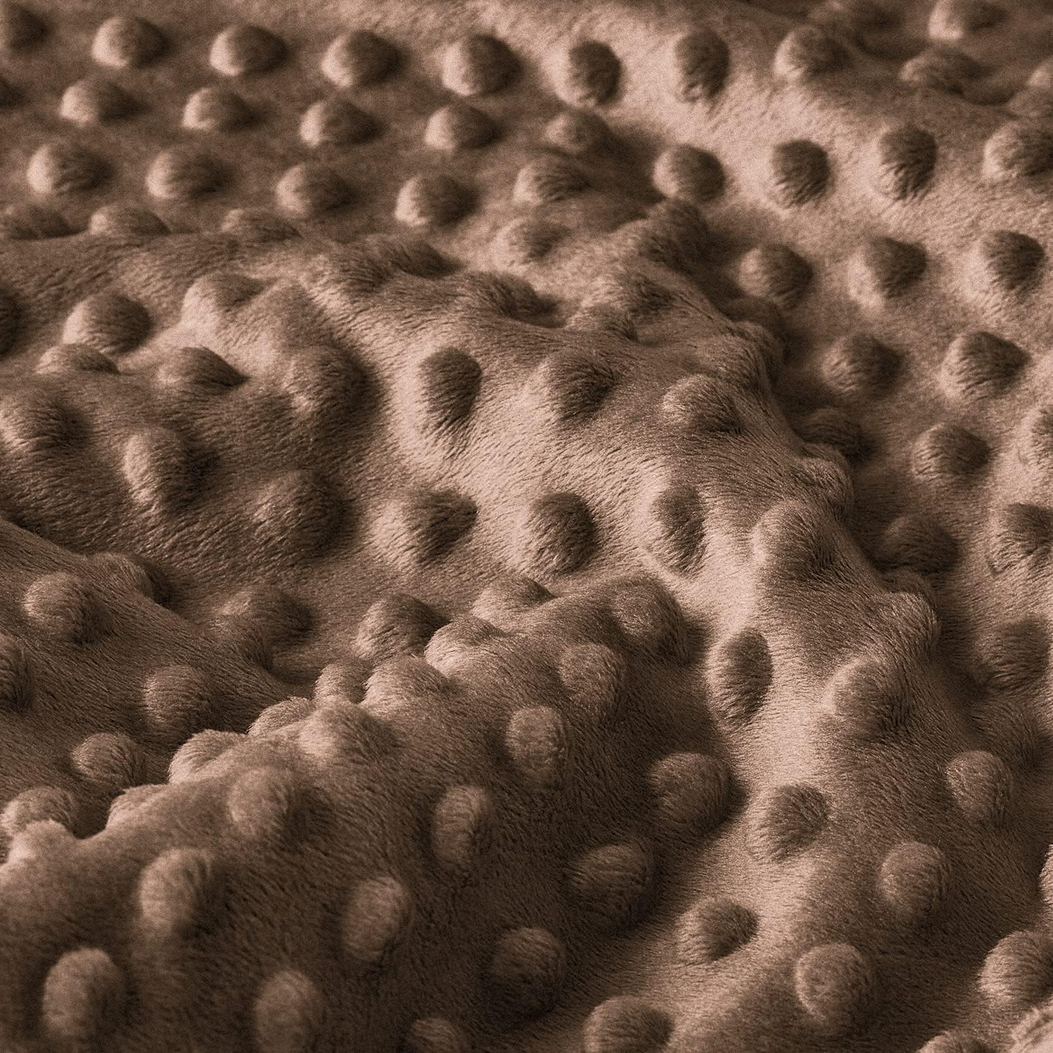 HOMRITAR Soft Plush Minky Blanket with Dotted Backing